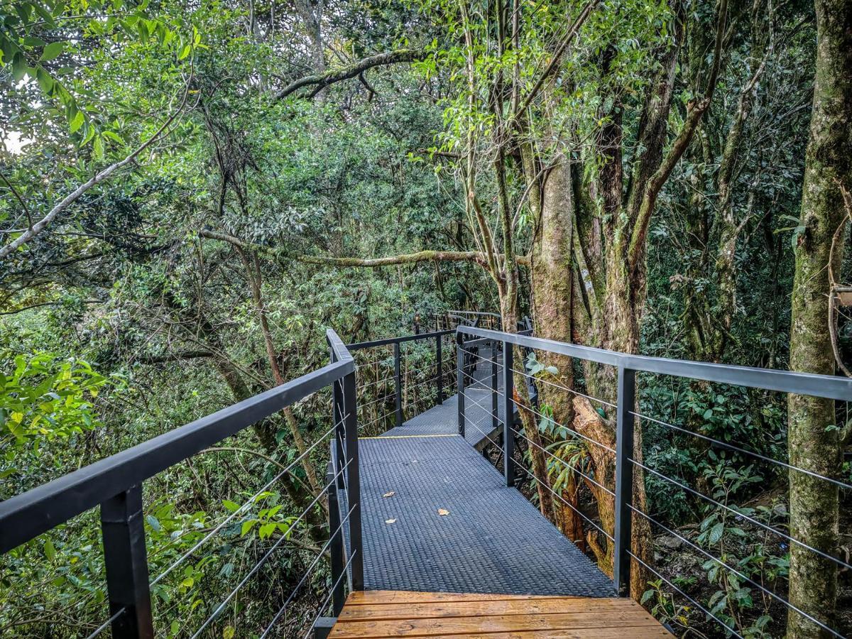 Cloud Forest Lodge By Boeena Monteverde Eksteriør billede